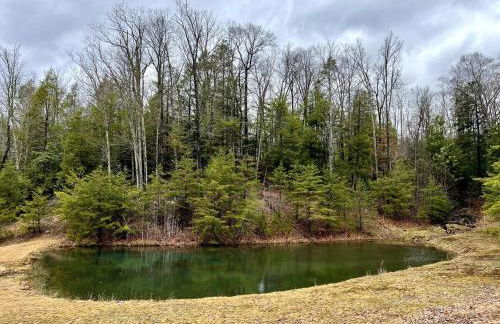 Adventure Cabin with Private Pond Near New River Gorge, Gauley & Summersville Lake - Foto 7