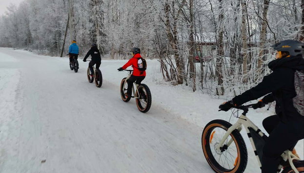 Tour en fat bike por los bosques de Ivalo - Foto 2, Tour en fat bike