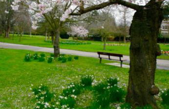 Family Studio Garden view 5min to Elizabeth Line - Foto 43