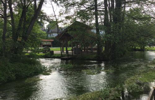 Waldläufer Brilon - Foto 62