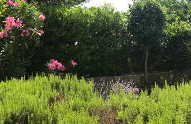 Apartment Sara M - Photo 20