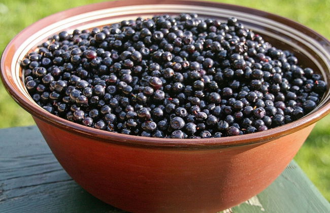 12 Person Holiday Home in Etne - Foto 28