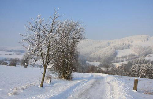 Fewo Alte Schule - Foto 41