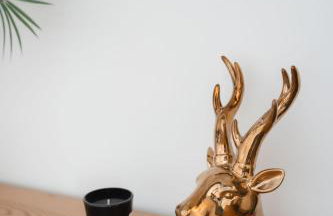 Ferienunterkunft Heimatfleckerl - Foto 38