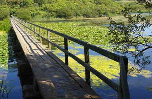 Quaint cottage close to Marina - Foto 14