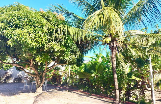 Branca Tropical Brasil Residencial - Foto 41