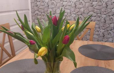 DoMarka całoroczny dom w Bieszczadach - Foto 35