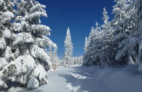 Ferienwohnung Schwarzwaldsteig - Foto 30