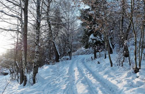 HillOut - Domek w Milówce - Workation - Praca zdalna - Foto 52