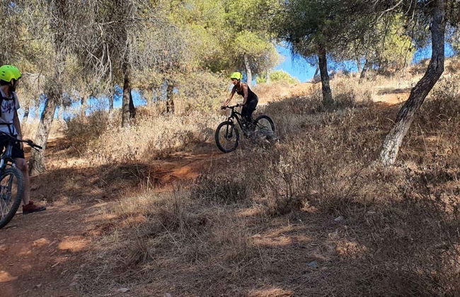 Granada Electric Bike Tours - Photo 1