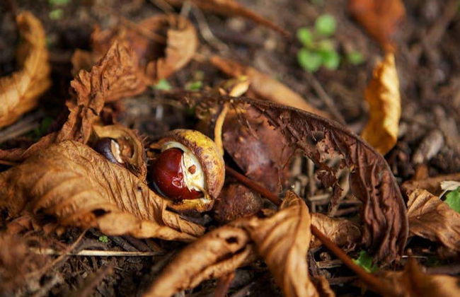 Senderismo por Lady Louisa’s Walk - Foto 7