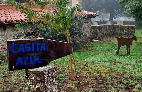 Casas Quo Vadis -Azul - Foto 15