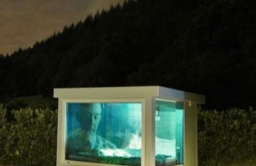 Relax-Bollendorf - Foto 64