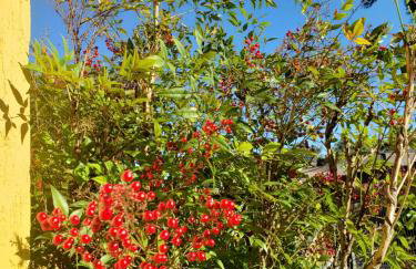 Apartamento Flor de Canela - Foto 7