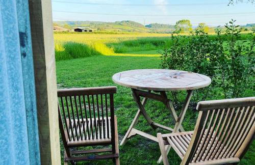 The Acorn - Luxury Shepherds Hut hot tub panoramic views - Foto 19