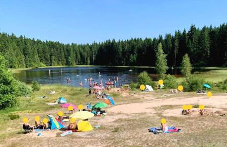 Ferienhaus Bringfriede - Foto 32