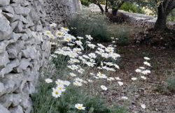 House on Punta - Photo 28