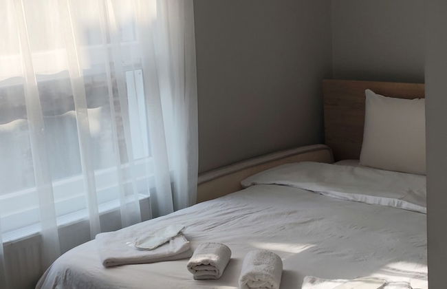 MOONLIGHT - Photo 11