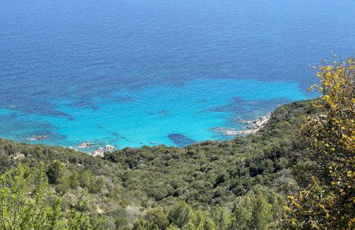 Villa Patrizia - Foto 24