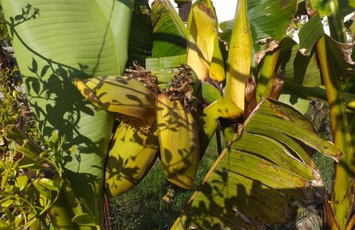 Levak Apartments - Apt. 1 - Photo 46