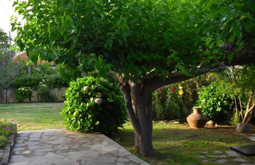 Mirsini Apartments - Foto 47