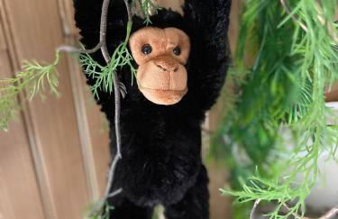 Serengeti Safari Room - Foto 35