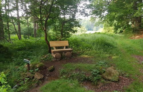 ferienwohnungen.ruhla - Foto 15