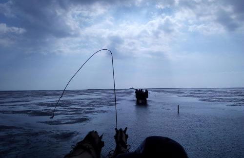 Ferienwohnung-Treeneblick - Foto 40