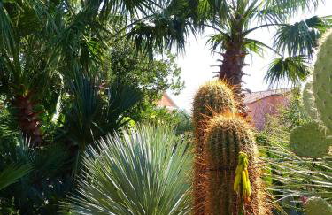 Villa Tropica, total privacy, tropical garden and private pool - Photo 53