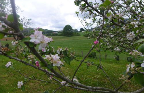 Maison typique Basque en pleine campagne - Foto 19