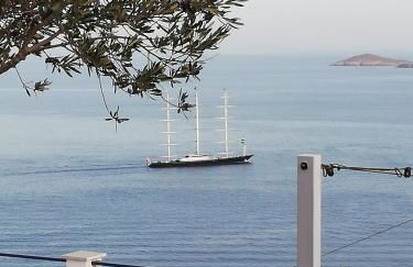 Sarris Planet - Photo 77