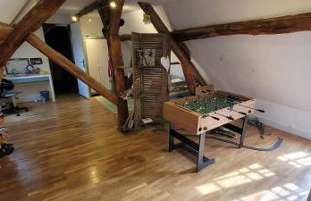 Country house for animals and nature lovers - Photo 30