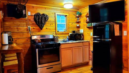 Lil' Log at Hearthstone Cabins and Camping - Pet Friendly - Foto 5