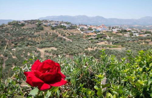 Villa Melissa - Foto 13