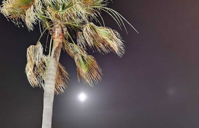 Guadiana Sol - Foto 22