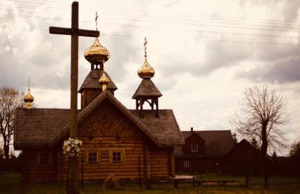 Maciejówka Borki 33 - Foto 40