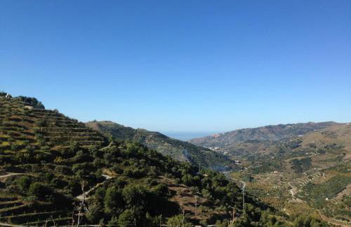 Casa Picasso - Foto 19