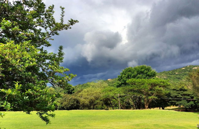 Near2Numbi - Foto 66