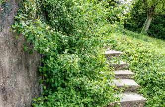 Élégante longère, piscine entre Tours et Amboise - Foto 27