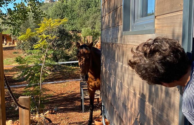 Tiny House & Horses Hébergement Atypique à Loulé - Foto 1