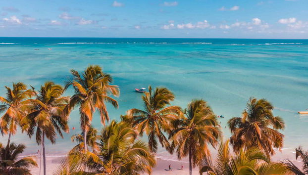 Playa selvática de Maragogi