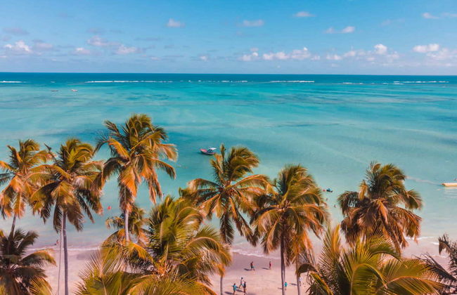 Excursión privada a Maragogi - Foto 4