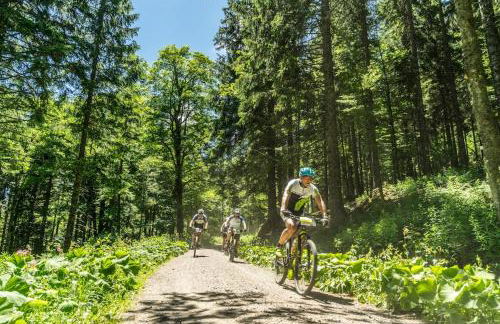 Waldklang Titisee - mit Terrasse und Gartenzugang - Foto 19