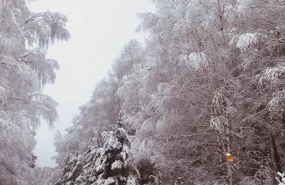 Domek Walentinki - Foto 35