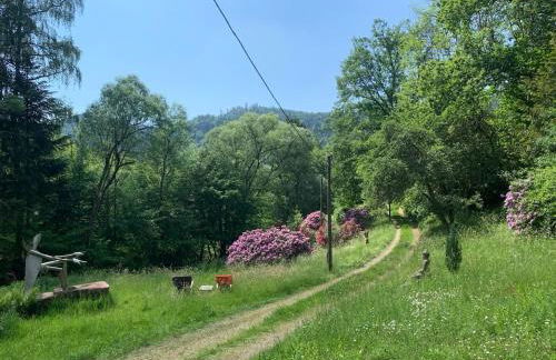 Schwarzwaldhütte am Bach mit Sauna - Foto 33