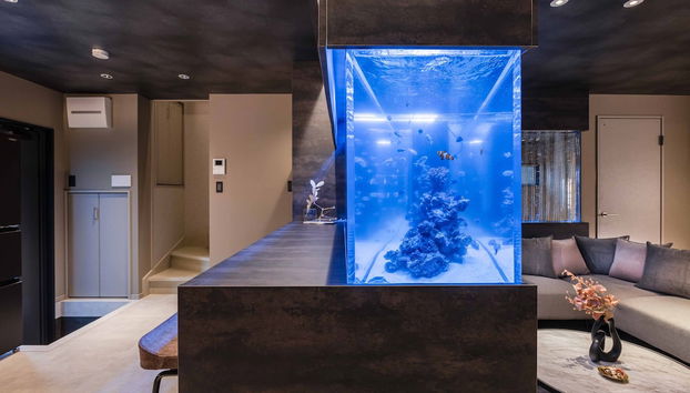 JAPAVISTA Aqua - Foto 5, Habitación