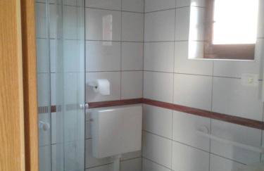 Dalmatian - Photo 16