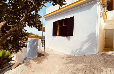 Vista Pino - Foto 10