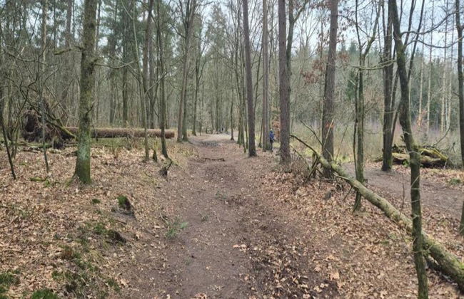 Detached Bungalow With Wifi, Located at Park De Veluwe - Foto 28