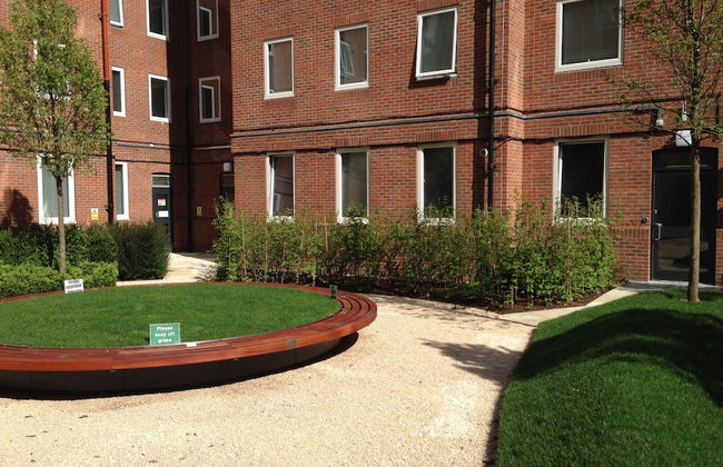 Student Only OLIB - Foto 38